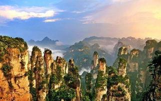 张家界吃瓜事件视频流出,一场网络热议的真相揭秘