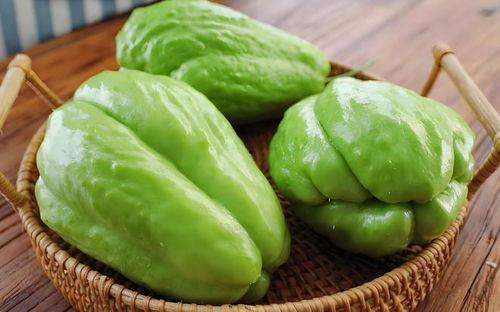 猴哥吃佛手瓜视频大全,佛手瓜美食视频大盘点