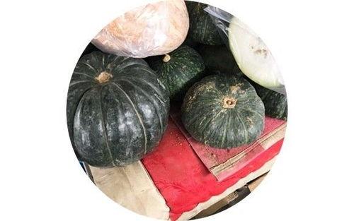 洋毛瓜怎么吃最好吃视频,视频教你如何吃出最佳口感