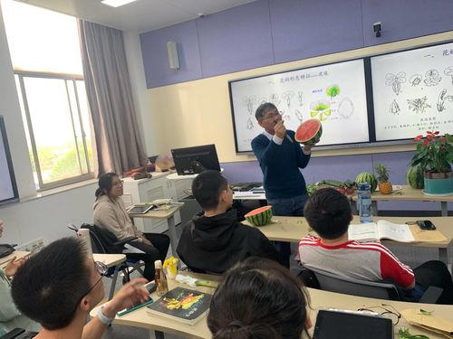 诗词吃瓜大会视频,古韵今风，笑谈诗词中的趣味人生