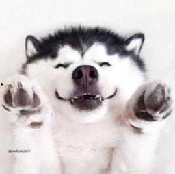 吃瓜群众瞪眼视频素材,揭秘网络热点背后的真实情感