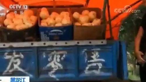 嘎嘎吃瓜视频,揭秘娱乐圈幕后故事