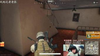 吃瓜小叮当视频,揭秘娱乐圈幕后故事